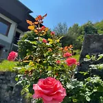 D'alba 4* Civenna