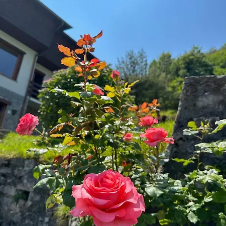 D'alba 4* Civenna