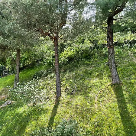 D'alba 4* Civenna