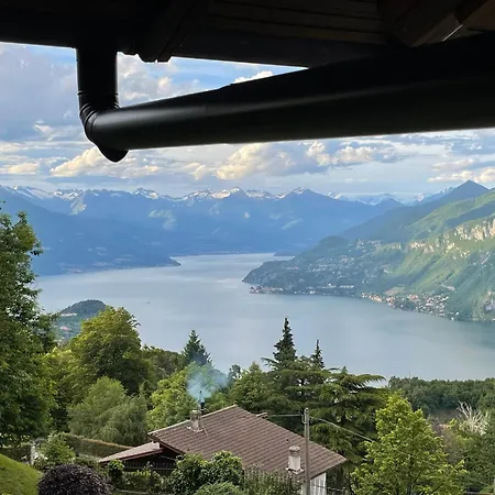 게스트하우스 D'alba 3*